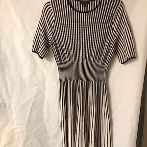 Banana Republic Striped Black and White Stretch Knit Dress